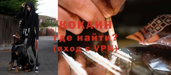 тгк Кострома