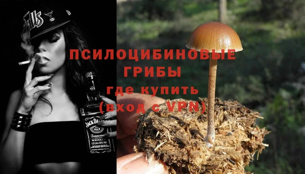 хмурый Горно-Алтайск
