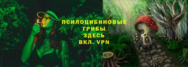 хмурый Горно-Алтайск